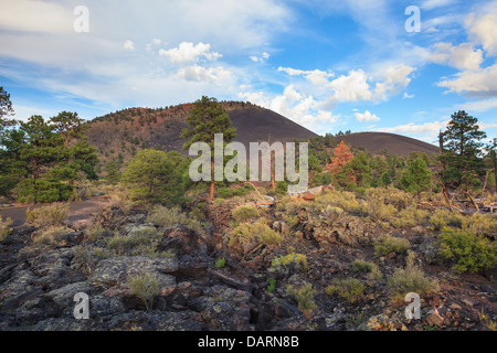 USA, Arizona, Flagstaff, Sunset Crater National Monument, Cinder Cones and Volcanic Landscape Stock Photo