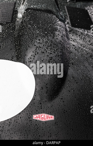 Raindrops beading on a Jaguar's bonnet Stock Photo