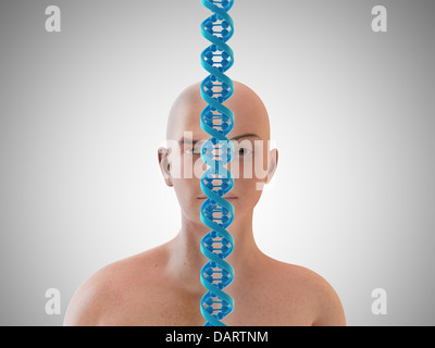 A young men and a woman seperated by a chain of DNA - heredity concept Stock Photo