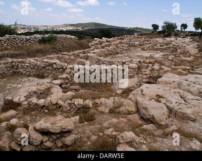 Bet Shemesh, Israel. 18th July 2013. A complex of dwellings and an enormous royal storeroom uncovered alongside King David's 10th century BCE palace at Khirbet Qeiyafa, are evidence of state sponsored construction and an administrative organization during King David’s reign. .  Prof. Yossi Garfinkel, of the Hebrew University, and Saar Ganor, of the Israel Antiquities Authority, claim to have positively identified King David's 10th century BCE palace, known to have existed in the Kingdom of Judah at Khirbet Qeiyafa. Credit:  Nir Alon/Alamy Live News Stock Photo
