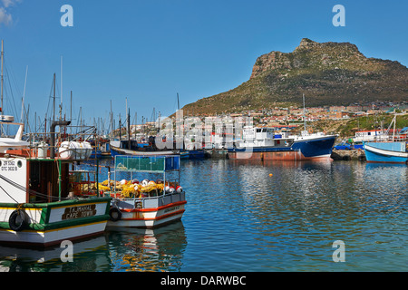 fishing boats in harbor of Hout Bay, Cape Town, Western Cape, South Africa Stock Photo