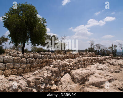 Bet Shemesh, Israel. 18th July 2013. Remains of a 30 meter long wall indicate an area of over 1,000 square meters which constitute the southern part of what researchers claim to be King David's 10th century BCE palace at Khirbet Qeiyafa, identified with the biblical city of Shaarayim. .  Prof. Yossi Garfinkel, of the Hebrew University, and Saar Ganor, of the Israel Antiquities Authority, claim to have positively identified King David's 10th century BCE palace, known to have existed in the Kingdom of Judah at Khirbet Qeiyafa. Credit:  Nir Alon/Alamy Live News Stock Photo