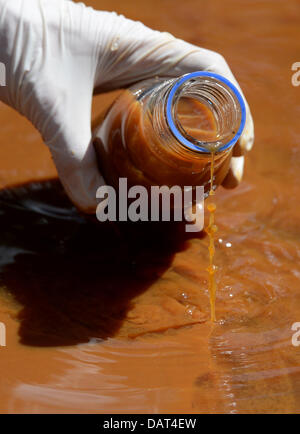 A Greenpeace activist takes a water sample from the Wudritz River in the Ragow natural harbour near Luebbenau/Spreewald, Germany, 18 July 2013. Greenpeace activists are measuring to what extent the recent flooding carried the red sludge in the brown Spree to the Spreewald. The red coloring in the Spree is caused by iron oxide as a late result of lignite strip mining. Photo: MATTHIAS BALK Stock Photo