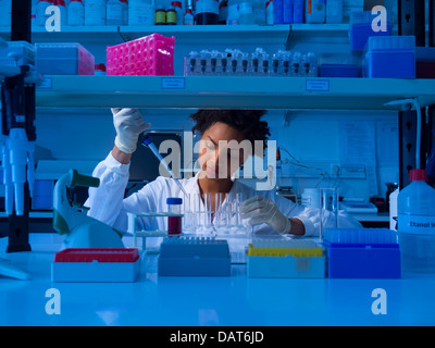 Scientist working in lab Stock Photo