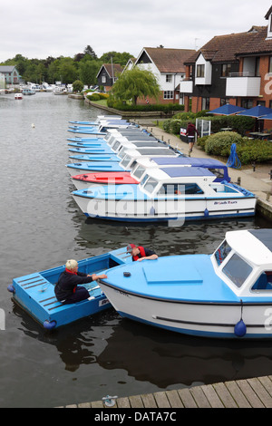 Row of pleasure boats moored on the River Bure at Wroxham, Norfolk Stock Photo