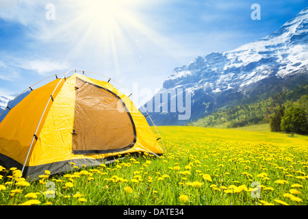 Big yellow family sized camping tent in the nice yellow dandelion field with mountains on background Stock Photo