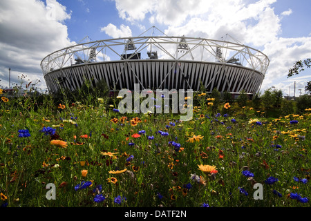 The Olympic Stadium, London, surrounded by wildflowers on a bright sunny day Stock Photo