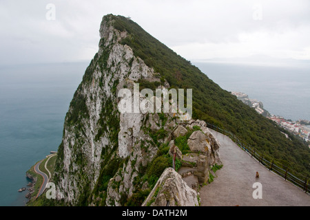 Top of the rock in Gibraltar, home of Barbary monkeys (Macaca sylvanus). Stock Photo