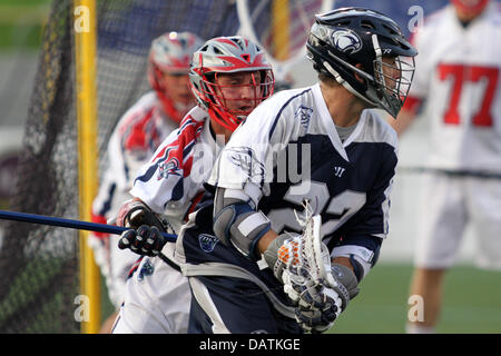 July 18, 2013 - Annapolis, Maryland, United States - July 18, 2013: Chesapeake Bayhawks #22 Casey Powell looks to score in past Boston Cannon's #1 P.T. Ricci at Navy-Marine Corps Memorial Stadium, in Annapolis, Maryland. Daniel Kucin Jr./ CSM Stock Photo