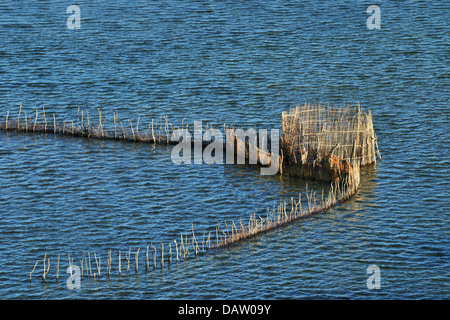 African fishtraps made of reeds at Kosi bay, Natal South Africa Stock Photo