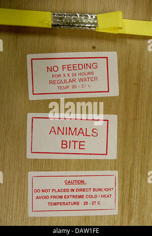 Stickers indicate on live animals in a box at the international airport of Frankfurt, Germany, 01 February 2007. Photo: Frank May Stock Photo