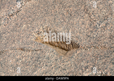 Quarry marking in The Unfinished Obelisk Open Air Museum, Northern Quarries, Aswan, Egypt Stock Photo