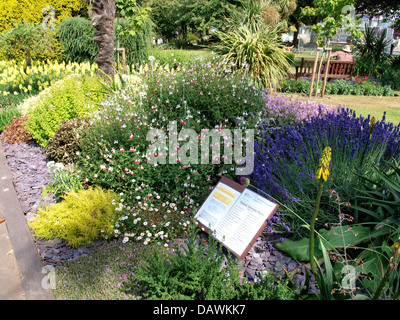 Raised Sensory Flower Beds, Dartmouth, Britain in Bloom finalist 2013. UK Stock Photo