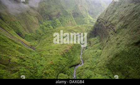 Aerial view of lush greenery inside the crater of Mount Waialeale, on the island of Kauai, Hawaii. Stock Photo