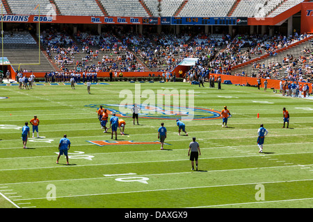 Florida Gators fans at Ben Hill Griffin Stadium during an NCAA college ...