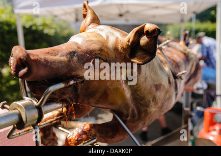 Hog Roast on a spit after being cooked Stock Photo