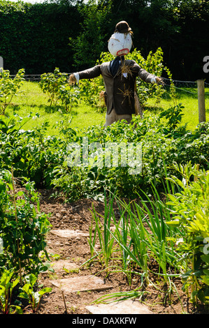 Scarecrow in a vegetable plot Stock Photo