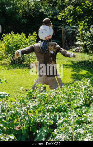 Scarecrow in a vegetable plot Stock Photo