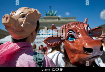 Berlin, Germany. 20th July, 2013. Vegetarians dressed in cow and pig costumes protest at the third Veggie Parade against the consumption of animal products. Photo: OLE SPATA/dpa/Alamy Live News Stock Photo