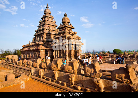 Tourists at a temple, Shore Temple, Mahabalipuram, Kanchipuram District, Tamil Nadu, India Stock Photo