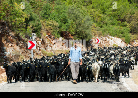 Asien, Türkei, Provinz Antalya, Ziegenherde bei Cevreli Köyü an der Strase nach Kaleücagiz Köyü gegenüber der Insel Kekova,
