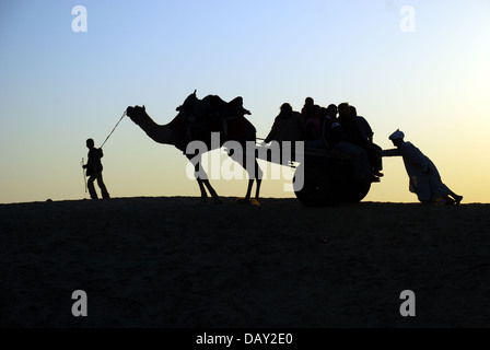 Camel cart at sand dunes Stock Photo