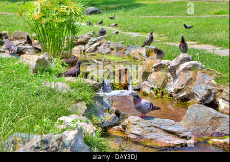 Small creek flows among rocks through green meadow at Valentino Park in Turin, Italy. Stock Photo