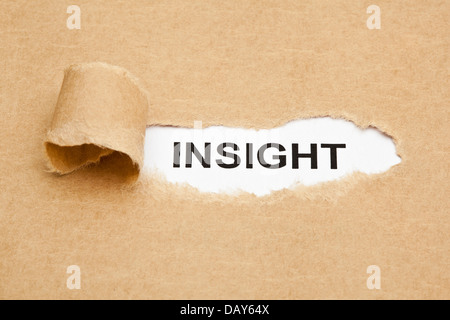 The word Insight appearing behind torn brown paper. Stock Photo