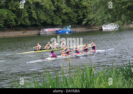 Twickenham Rowing Club (blue/magenta) and Maidenhead Rowing Club (green) men's coxed four at Molesey Amateur Regatta, 20th July 2013, River Thames, Hurst Park Riverside, East Molesey, near Hampton Court, Surrey, England, Great Britain, United Kingdom, UK, Europe Credit:  Ian Bottle/Alamy Live News Stock Photo