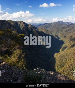 View of bushland wilderness and a steep gorge in Kanangra Boyd National Park, NSW, Australia Stock Photo