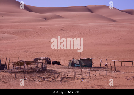 Bedouin camp, Sharqiya (Wahiba) Sands, between Muscat and Sur, central Oman Stock Photo