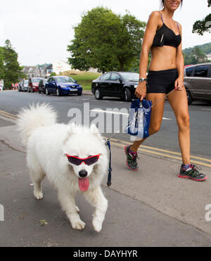 Bowness, UK. 21st July, 2013. Bowness, UK. 21st July 2013. A man and a woman dressed in summer clothes take a dog, complete with sunglasses, for a walk, in the hot summer weather in Bowness on Lake Windermere, UK. Credit:  Shoosmith Collection/Alamy Live News Stock Photo