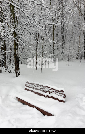 Park bench and trees covered by heavy snow. Lots of snow Stock Photo ...