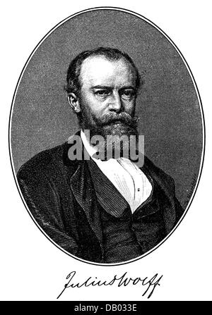 Wolff, Julius, 16.9.1834 - 3.6.1910, German poet, portrait, wood engraving, after etching, late 19th century, Stock Photo