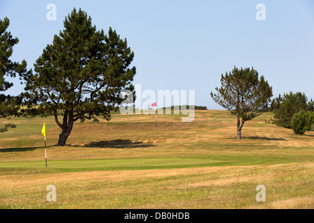 Aberystwyth golf course with red and yellow flags Stock Photo
