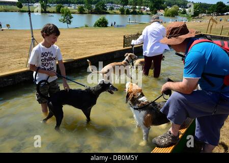 Alcester, Warwickshire. 22nd July, 2013. Dogs and their owners cool off at the CLA Game Fair, Ragley Hall, Alcester, Warwickshire, 19,20,21st July. Photo by John Robertson, 2013. © John Robertson/Alamy Live News Stock Photo