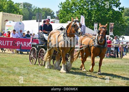 Alcester, Warwickshire. 22nd July, 2013. Heavy horses at the CLA Game Fair, Ragley Hall, Alcester, Warwickshire, 19,20,21st July. Photo by John Robertson, 2013. © John Robertson/Alamy Live News Stock Photo