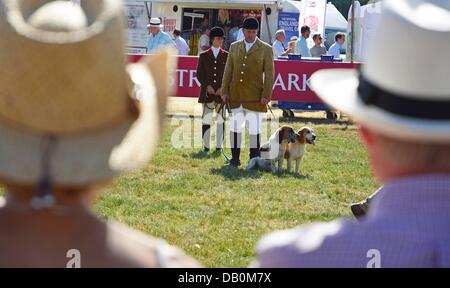 Alcester, Warwickshire. 22nd July, 2013. Hounds in the ring at at the CLA Game Fair, Ragley Hall, Alcester, Warwickshire, 19,20,21st July. Photo by John Robertson, 2013. © John Robertson/Alamy Live News Stock Photo