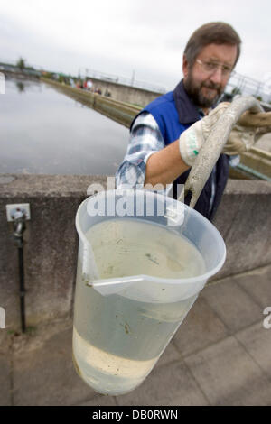 Staff member Walter Brandt of the sewage treatment plant of 'OEWA Wasser und Abwasser GmbH' takes a water sample in Wagenfeld, Germany, 12 September 2007. The sewage treatment plant works in different mechanic, biological and chemical stages. Photo: Friso Gentsch Stock Photo
