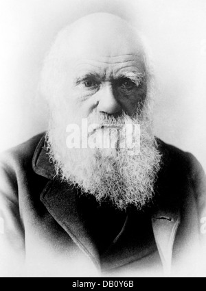 CHARLES DARWIN (1809-1882) English naturalist about 1880 Stock Photo