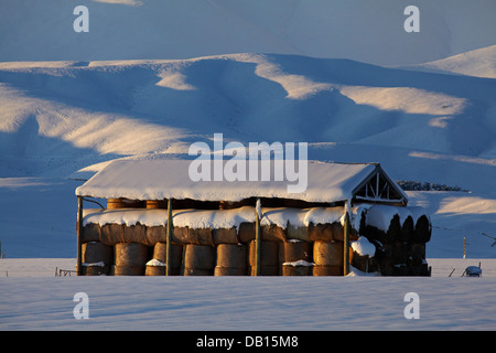 Hay barn and snow near Oturehua, Maniototo, Central Otago, South Island, New Zealand Stock Photo