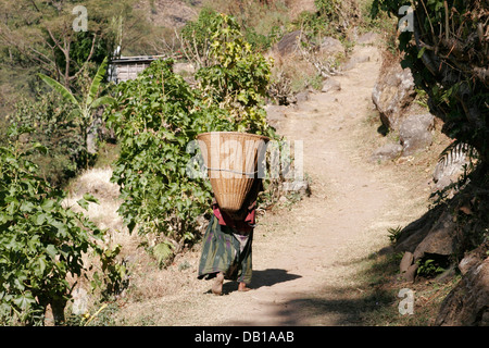 Local woman carrying heavy load in the woven basket on the trail in Annapurna Conservation Area, Annapurna Circuit, Nepal Stock Photo
