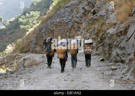 Porters carrying heavy load on the trail in Annapurna Conservation Area, Annapurna Circuit, Nepal Stock Photo