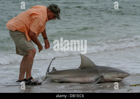 A fisherman lands a shark at Boca Grande, Gasparilla Island, South West Florida, USA Stock Photo
