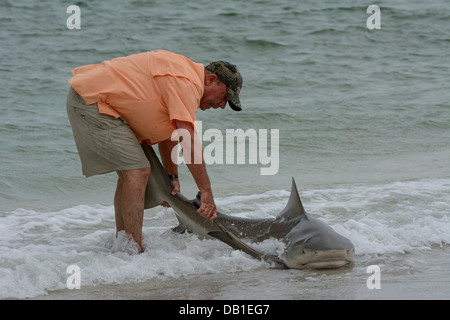 A fisherman lands a shark at Boca Grande, Gasparilla Island, South West Florida, USA Stock Photo