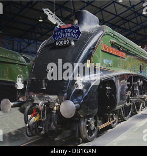 A4 Pacific 4-6-2 locomotive Union of South Africa as part of the Great Gathering at the National Railway Museum, York Stock Photo