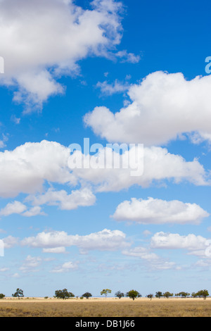 Dry grasslands and a blue sky with clouds in a remote part of outback Queensland, Australia Stock Photo