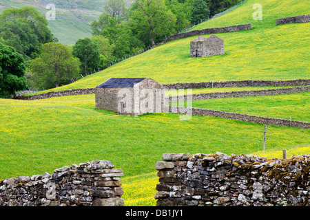 Barns in Buttercup Meadows at Keld Swaledale Yorkshire Dales England Stock Photo