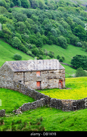 Barn with Red Doors near Angram in Swaledale Yorkshire Dales England