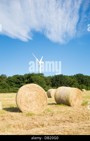 Round hay bails in field in County Durham, England, UK Stock Photo